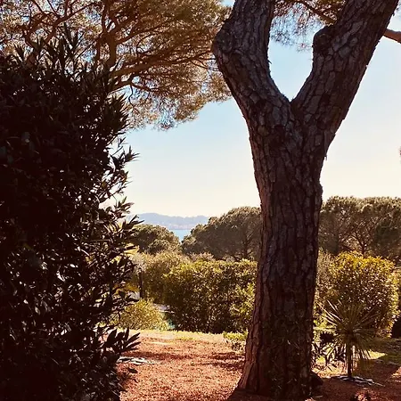 Du Soleil Apartament Sainte-Maxime