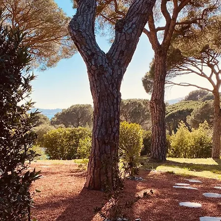 Du Soleil * Sainte-Maxime