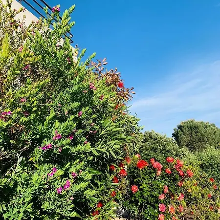 Apartament Du Soleil