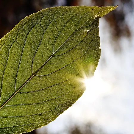 Du Soleil